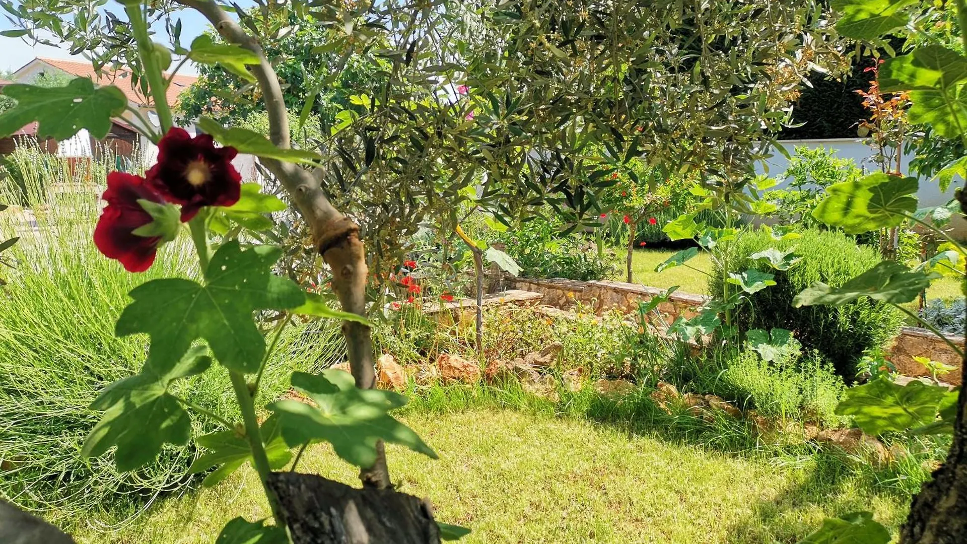 Holiday House Lea Pula 0*,  Kroatien
